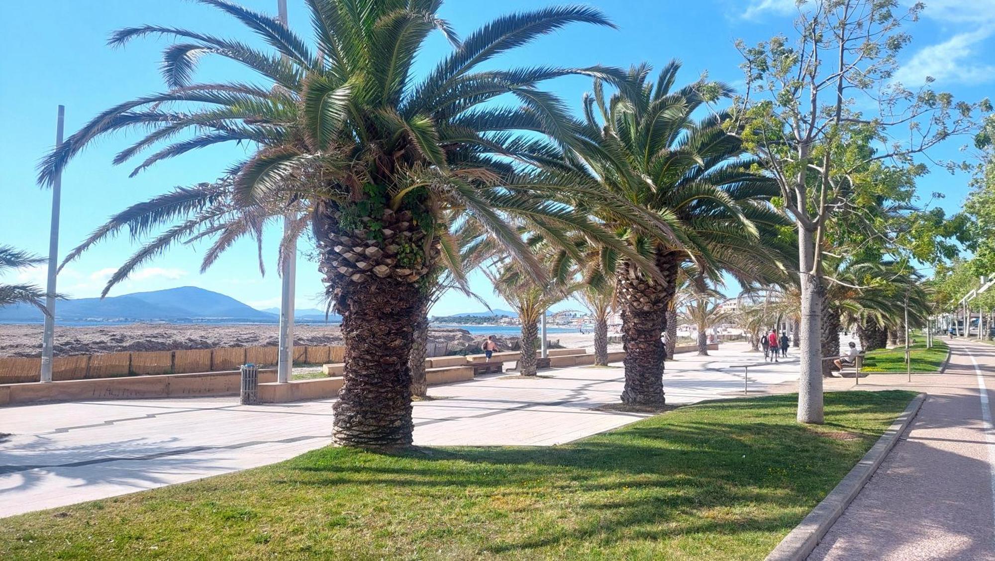 Lovealghero Stanze In Attico Vista Mare Екстериор снимка